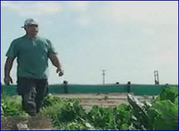 Στην αγροτική παραγωγή στρέφονται οι νέοι και οι άνεργοι