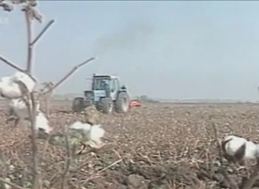 Ιερώνυμος: Η εκκλησία προσφέρει γη στους νέους αγρότες