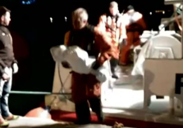 Άλλα τρία μικρά προσφυγόπουλα νεκρά, σε νέο ναυάγιο στη Λέσβο