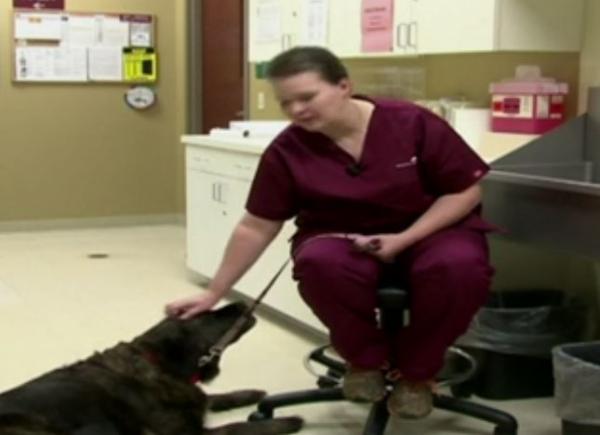 Σκύλος εντόπισε τον καρκίνο του αφεντικού του