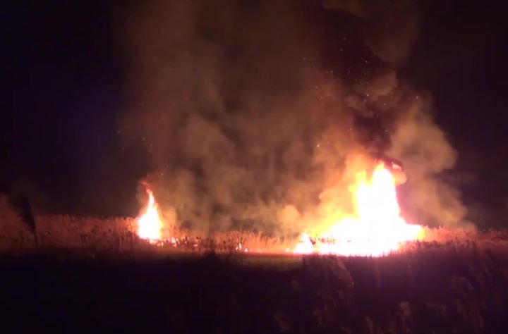 Πυρκαγιά στο βάλτο Νέα Κίου στο Άργος