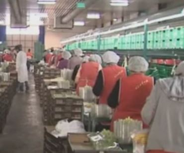 Αλλαγές στις ομαδικές απολύσεις ζήτησε η τρόικα