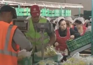 Μειώσεις μισθών έως και 20% στις κλαδικές συμβάσεις