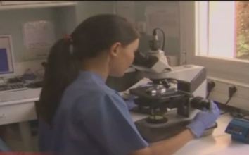 Ισπανία: Κατά 30% αυξήθηκαν οι δωρητές ωαρίων και σπέρματος