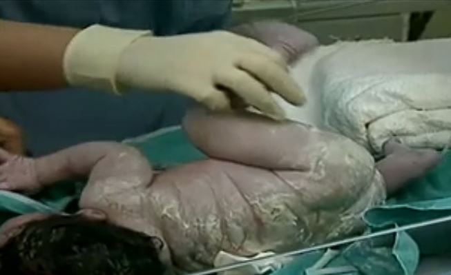 Κτηνίατρος έκανε εφημερίες στο Μαιευτήριο «Έλενα»