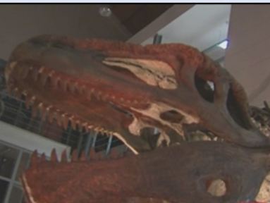 Οι δεινόσαυροι της Παταγονίας αναβιώνουν στο Ολυμπιακό Κέντρο Γουδή