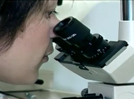 Υπουργείο Υγείας: Υπαρκτό το θέμα της ελονοσίας αλλά είναι υπό έλεγχο