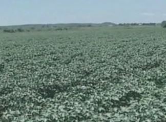 «Κλειδί» η φορολόγηση αγροτεμαχίων για τον ενιαίο φόρο ακινήτων