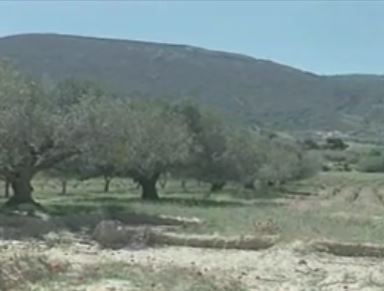 Νέα εμπλοκή για τον Ενιαίο Φόρο Ακινήτων