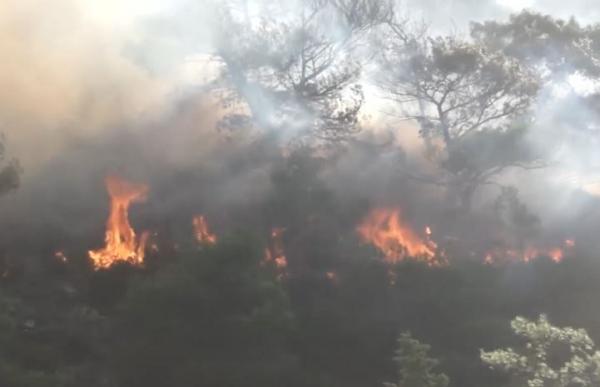 Φωτιά στο Τσαϊρί της Ρόδου