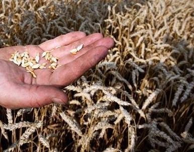 Aυξάνονται οι τιμές στις πρώτες ύλες