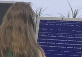 «Ανθίζει» η φοροδιαφυγή στην Ελλάδα