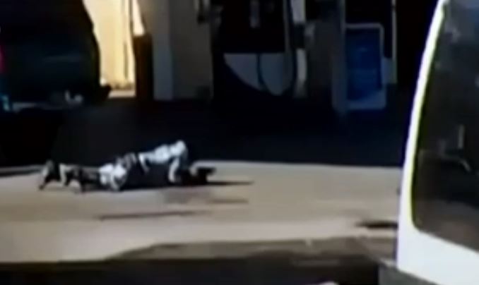 ΗΠΑ: Αστυνομικοί σκότωσαν Αφροαμερικανό που απομακρυνόταν έρποντας