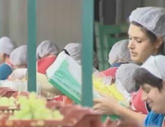 Αύξηση στις ομαδικές απολύσεις ζητά η τρόικα