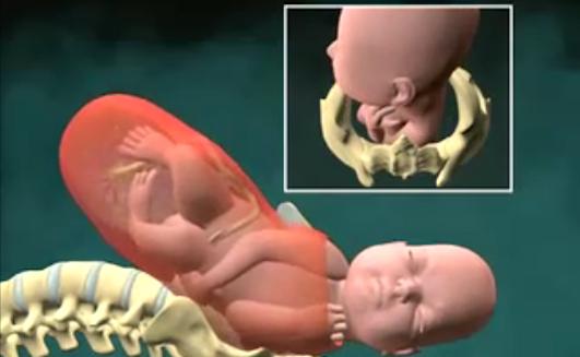 Φυσιολογικός τοκετός