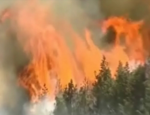 Εθελοντής δασοπυροσβέστης ομολόγησε 9 εμπρησμούς