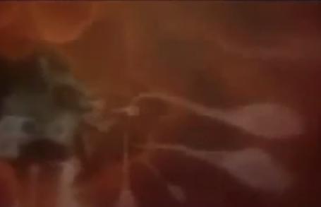 Από το σπέρμα στο ωάριο