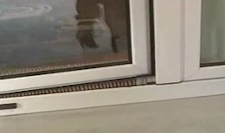 Αύξηση της εγκληματικότητας στην Ελλάδα