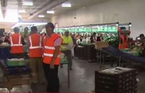 Έρχεται μείωση εργοδοτικών εισφορών