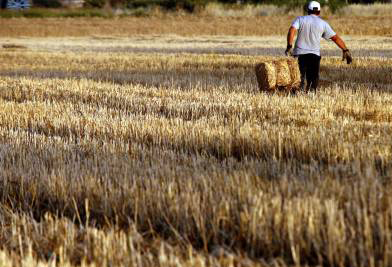 «Πάρτυ» με αποζημιώσεις έδειξαν οι έλεγχοι στον ΕΛΓΑ