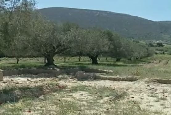 «Κουρεμένα» ακόμα και κατά 90% είναι τα νέα εκκαθαριστικά του ΕΝΦΙΑ