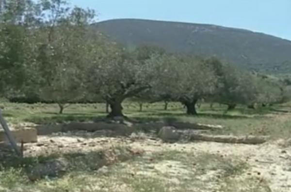 Ενα μήνα θα χρειαστεί η κυβέρνηση για να διορθώσει τα ΕΝΦΙΑ