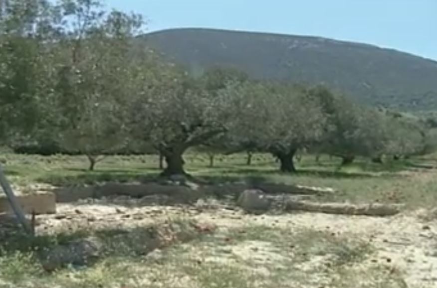 Ενα μήνα θα χρειαστεί η κυβέρνηση για να διορθώσει τα ΕΝΦΙΑ