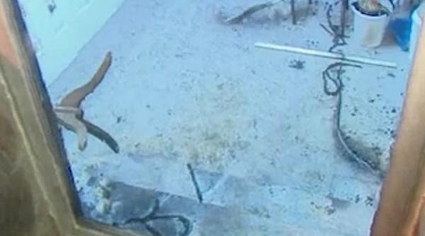 Μπαράζ εμπρηστικών επιθέσεων σε γραφεία της ΝΔ και του ΠΑΣΟΚ