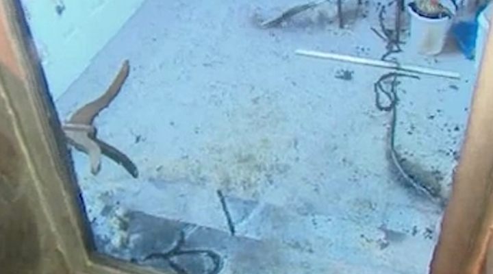 Μπαράζ εμπρηστικών επιθέσεων σε γραφεία της ΝΔ και του ΠΑΣΟΚ