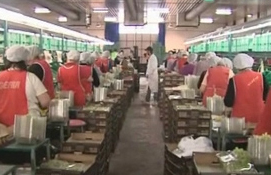 Αυξάνεται οι εργαζόμενοι μερικής απασχόλησης