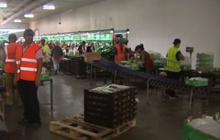 Σταδιακή επαναφορά του βασικού μισθού στα 751 ευρώ, σε 140.000 εργαζόμενους