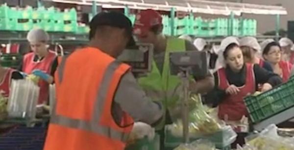 Η γραμμή άμυνας του υπουργείου Εργασίας στις απαιτήσεις τις τρόϊκας