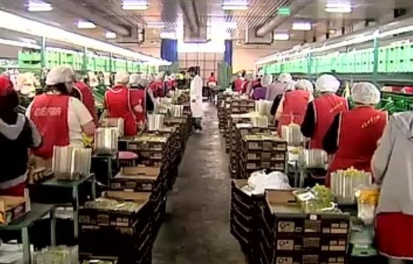 ΔΝΤ: Νέες σκληρές προτάσεις σε εργασιακά και κατώτατο μισθό