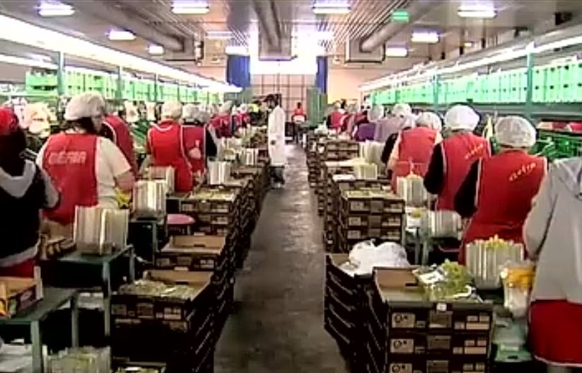 ΔΝΤ: Νέες σκληρές προτάσεις σε εργασιακά και κατώτατο μισθό