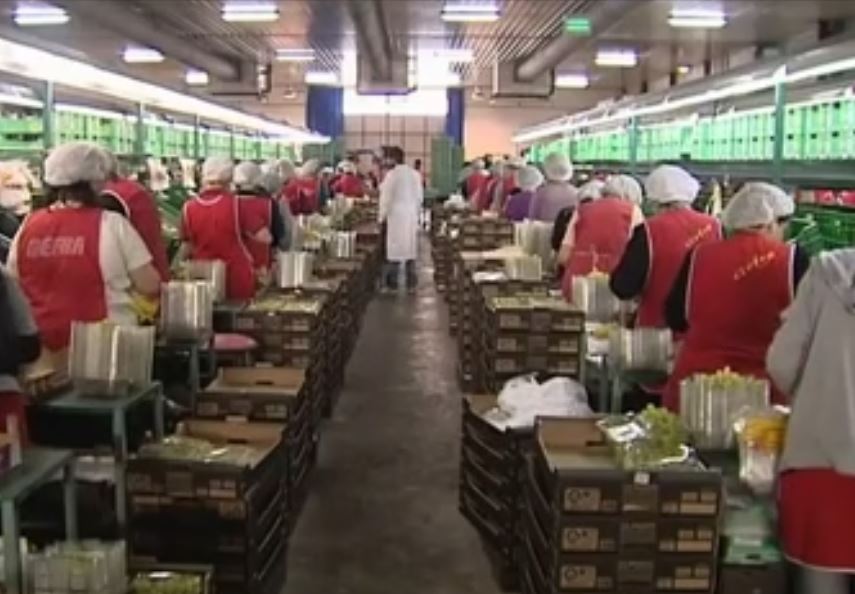 Εργάνη: Θετικό ισοζύγιο προσλήψεων – απολύσεων τον Ιούνιο