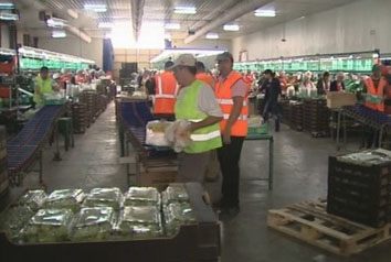 Πρόταση Ρουπακιώτη για «πάγωμα» στην άρση της μετενέργειας