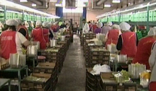 Χιλιάδες εργαζόμενοι υπογράφουν καθημερινά ατομικές συμβάσεις εργασίας