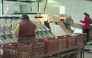 «Χάος» στα εργασιακά δικαιώματα στον ιδιωτικό τομέα