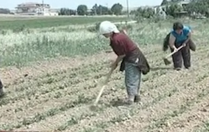 «Εκτος ελέγχου» η ανασφάλιστη εργασία στην Ελλάδα