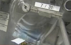 Β.Ράπανος: Το δίλημμα είναι αν θα παραμείνει η χώρα στο ευρώ