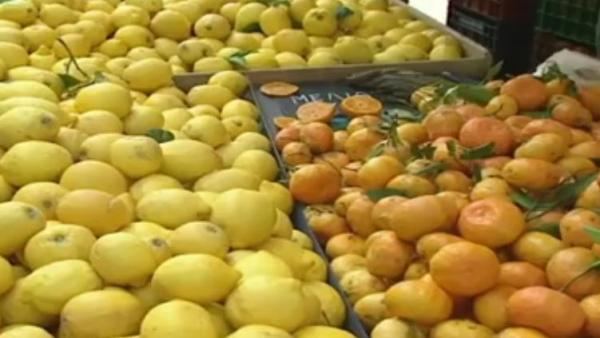 Ελληνικές εξαγωγές: Ενδεχόμενο εμπάργκο της Ρωσίας σε οπωροκηπευτικά