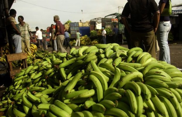 Παρέμβαση εισαγγελέα για τοξικά σε μπανάνες