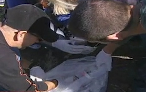 Εκλεβαν το ΙΚΑ με παράνομες συνταγογραφήσεις