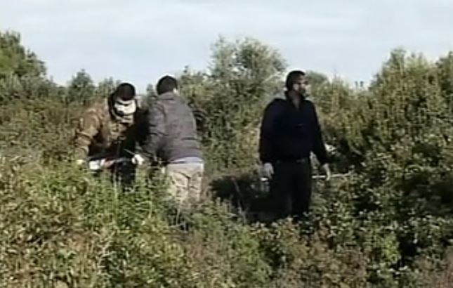 Χαλκιδική: Αγωνία για το μικρό Φοίβο