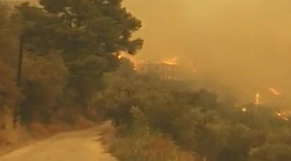 Μπλοκαρισμένες οι δωρεές ιδιωτών για τους πυρόπληκτους κατοίκους της Ηλείας