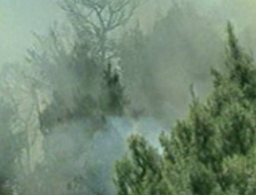 Νέα μεγάλη πυρκαγιά μαίνεται στη Σάμο