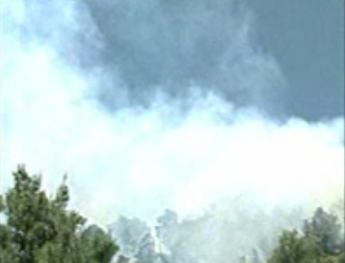 Σε ύφεση τα πύρινα μέτωπα σε Ζάκυνθο, Κύθηρα και Θεσπρωτία