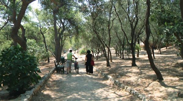 Συμβουλές από το WWF για την αποφυγή πυρκαγιών