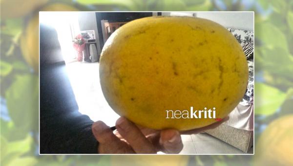 Δεν πίστευαν στα μάτια τους με την τεράστια φράπα στο Φόδελε