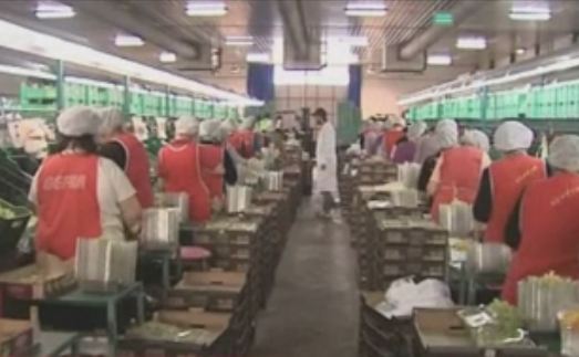 Στο όριο της φτώχειας ζουν 3,4 εκατομμύρια Έλληνες